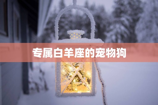 专属白羊座的宠物狗