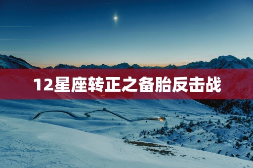 12星座转正之备胎反击战
