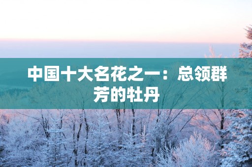 中国十大名花之一：总领群芳的牡丹