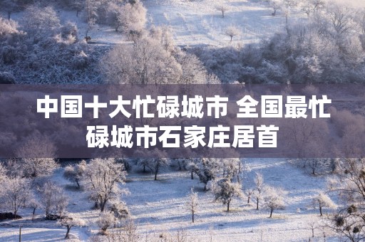 中国十大忙碌城市 全国最忙碌城市石家庄居首