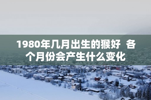 1980年几月出生的猴好  各个月份会产生什么变化