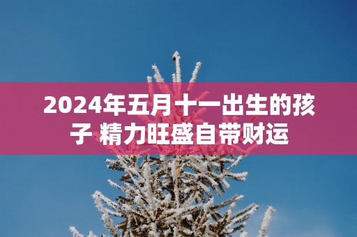 2025年五月十一出生的孩子 精力旺盛自带财运