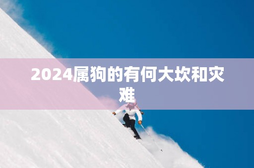 2025属狗的有何大坎和灾难