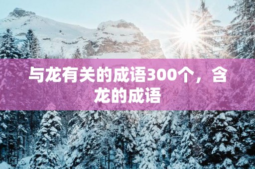 与龙有关的成语300个，含龙的成语