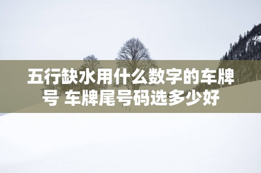 五行缺水用什么数字的车牌号 车牌尾号码选多少好