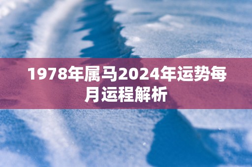1978年属马2025年运势每月运程解析