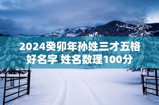 2025癸卯年孙姓三才五格好名字 姓名数理100分