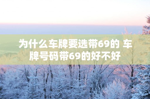 为什么车牌要选带69的 车牌号码带69的好不好