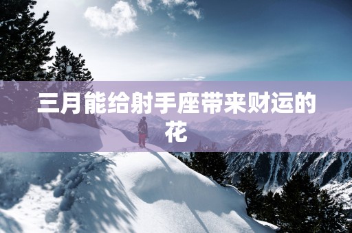 三月能给射手座带来财运的花