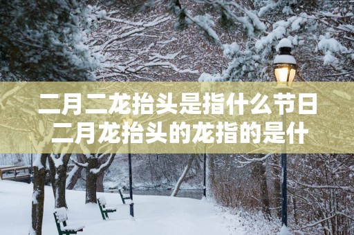 二月二龙抬头是指什么节日 二月龙抬头的龙指的是什么