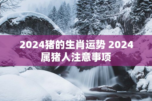 2025猪的生肖运势 2025属猪人注意事项