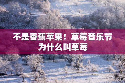 不是香蕉苹果！草莓音乐节为什么叫草莓