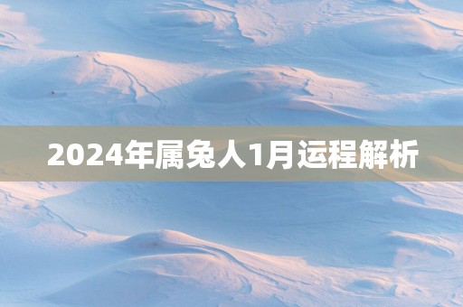 2025年属兔人1月运程解析