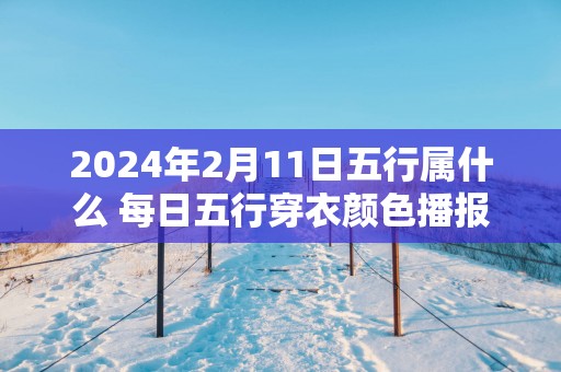 2024年2月11日五行属什么 每日五行穿衣颜色播报