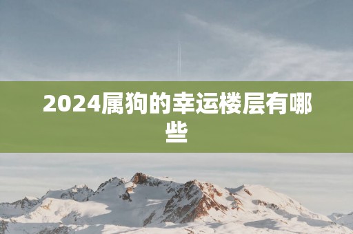 2025属狗的幸运楼层有哪些
