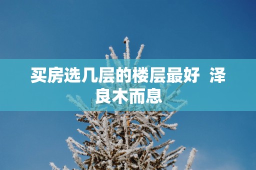 买房选几层的楼层最好  泽良木而息
