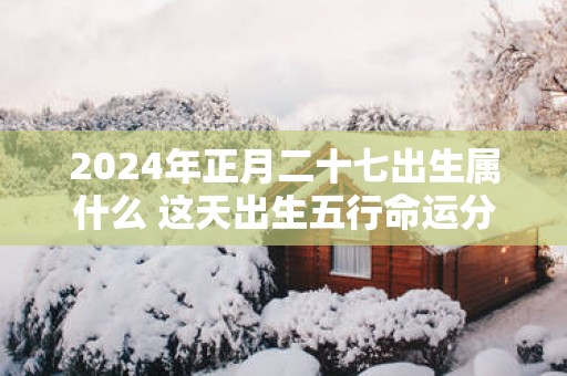 2025年正月二十七出生属什么 这天出生五行命运分析