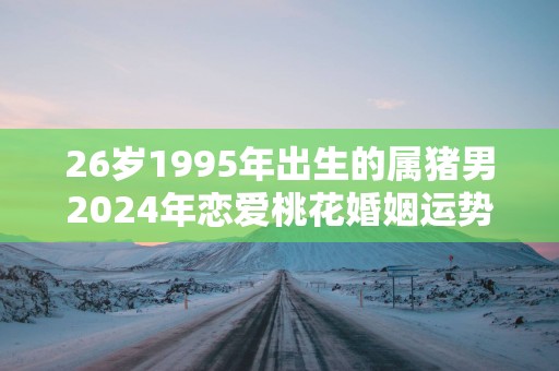 26岁1995年出生的属猪男2025年恋爱桃花婚姻运势走向分析