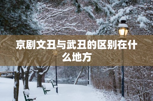 京剧文丑与武丑的区别在什么地方