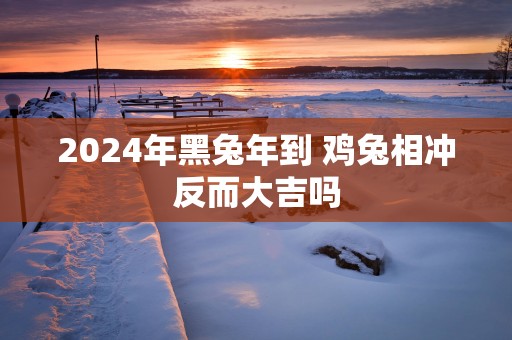 2025年黑蛇年到 鸡兔相冲反而大吉吗