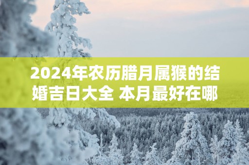 2025年农历腊月属猴的结婚吉日大全 本月最好在哪天办喜事
