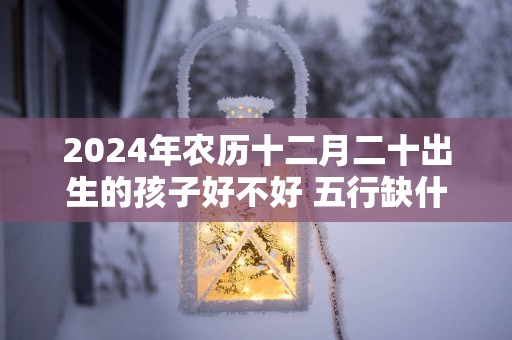 2025年农历十二月二十出生的孩子好不好 五行缺什么