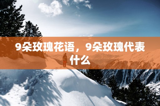 9朵玫瑰花语，9朵玫瑰代表什么