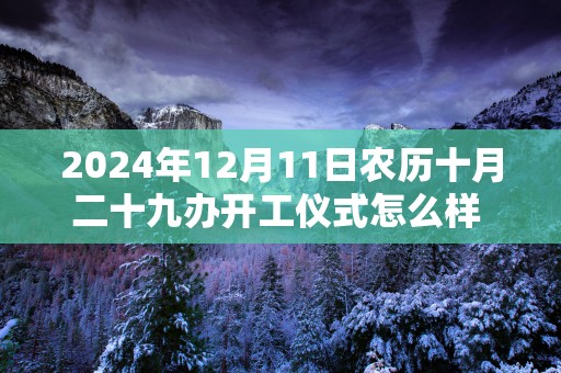 2024年12月11日农历十月二十九办开工仪式怎么样 这天开工会顺利吗