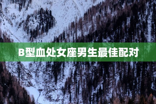 B型血处女座男生最佳配对