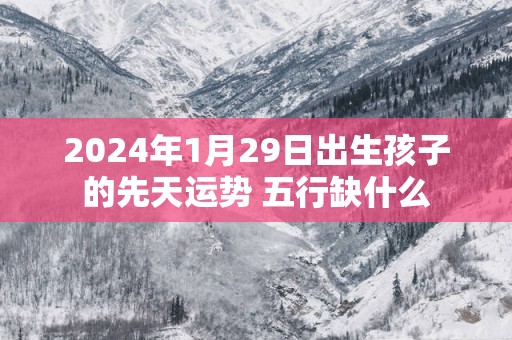 2025年1月29日出生孩子的先天运势 五行缺什么
