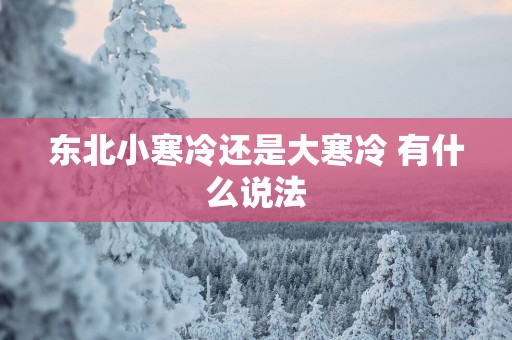 东北小寒冷还是大寒冷 有什么说法