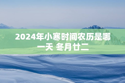 2025年小寒时间农历是哪一天 冬月廿二