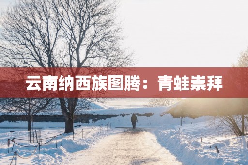 云南纳西族图腾：青蛙崇拜