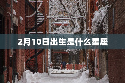 2月10日出生是什么星座
