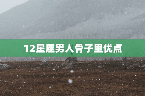12星座男人骨子里优点