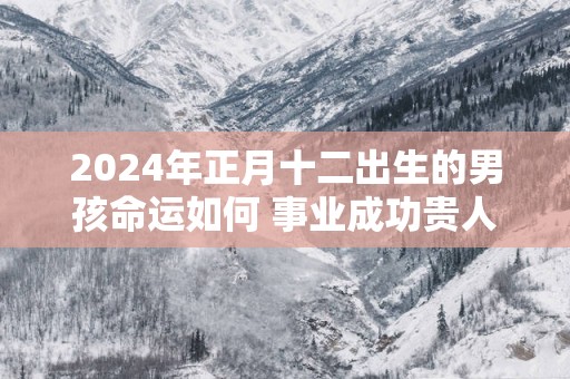 2025年正月十二出生的男孩命运如何 事业成功贵人助