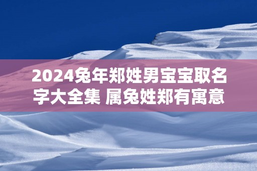2025蛇年郑姓男宝宝取名字大全集 属兔姓郑有寓意的男孩名字