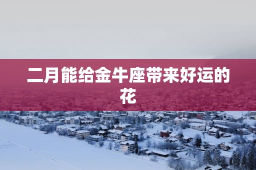 二月能给金牛座带来好运的花