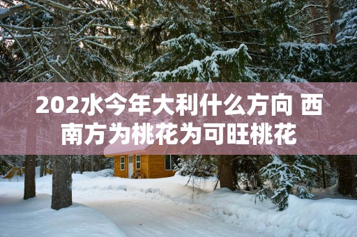 202水今年大利什么方向 西南方为桃花为可旺桃花