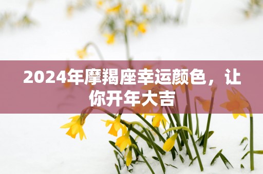 2025年摩羯座幸运颜色，让你开年大吉