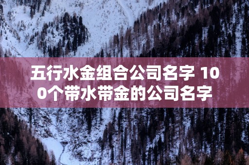 五行水金组合公司名字 100个带水带金的公司名字