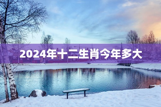 2025年十二生肖今年多大