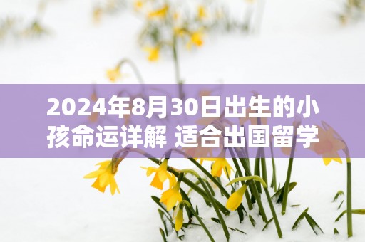 2025年8月30日出生的小孩命运详解 适合出国留学发展