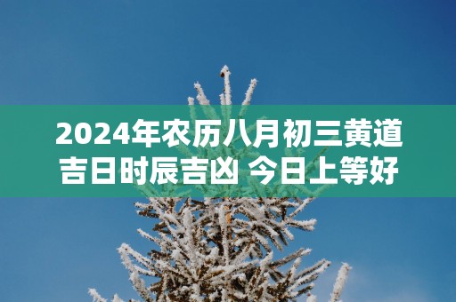 2025年农历八月初三黄道吉日时辰吉凶 今日上等好时辰查询