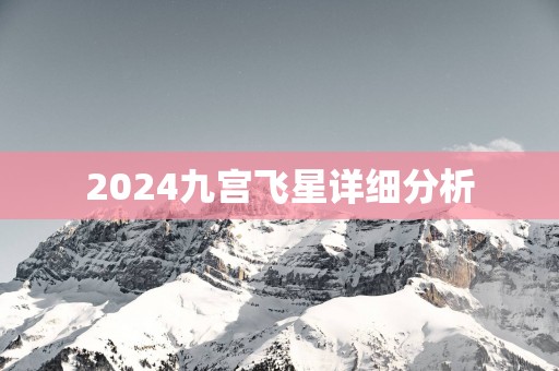 2025九宫飞星详细分析