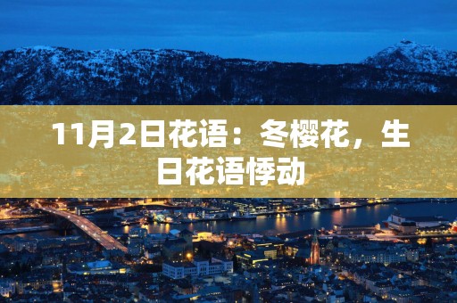 11月2日花语：冬樱花，生日花语悸动