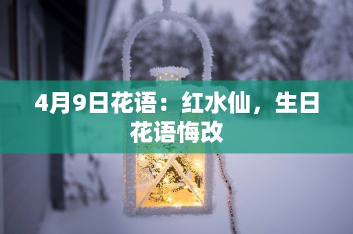 4月9日花语：红水仙，生日花语悔改