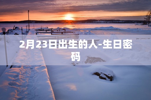 2月23日出生的人-生日密码