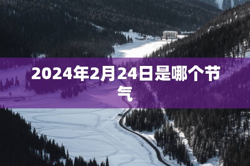 2025年2月24日是哪个节气