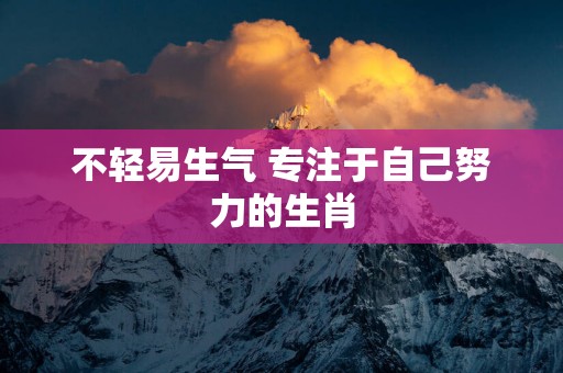 不轻易生气 专注于自己努力的生肖